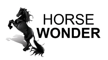 Horse_wonder_logo-removebg-preview